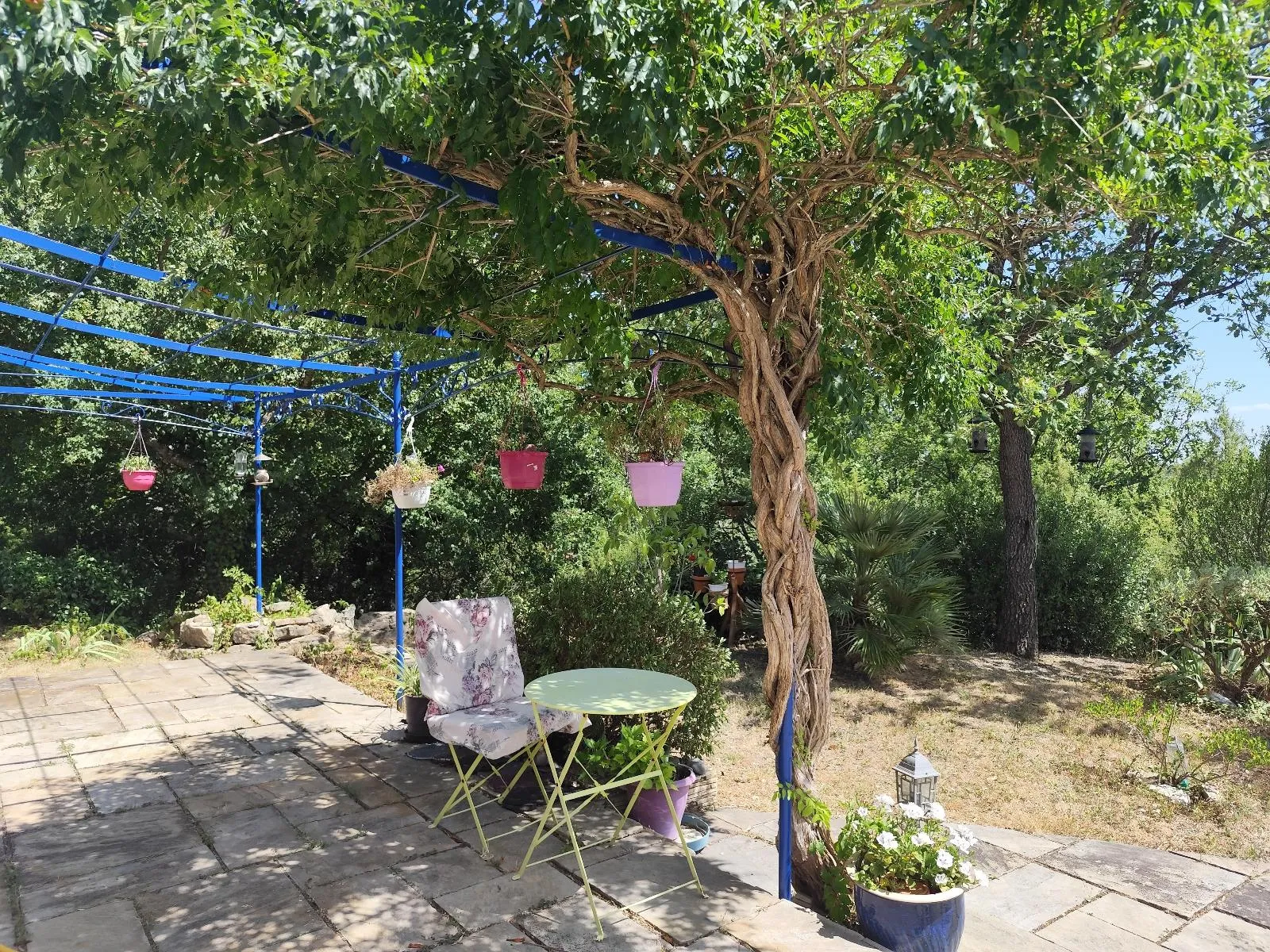 maison/villa 5 pièces à CHATEAUDOUBLE (83300) — photo 5