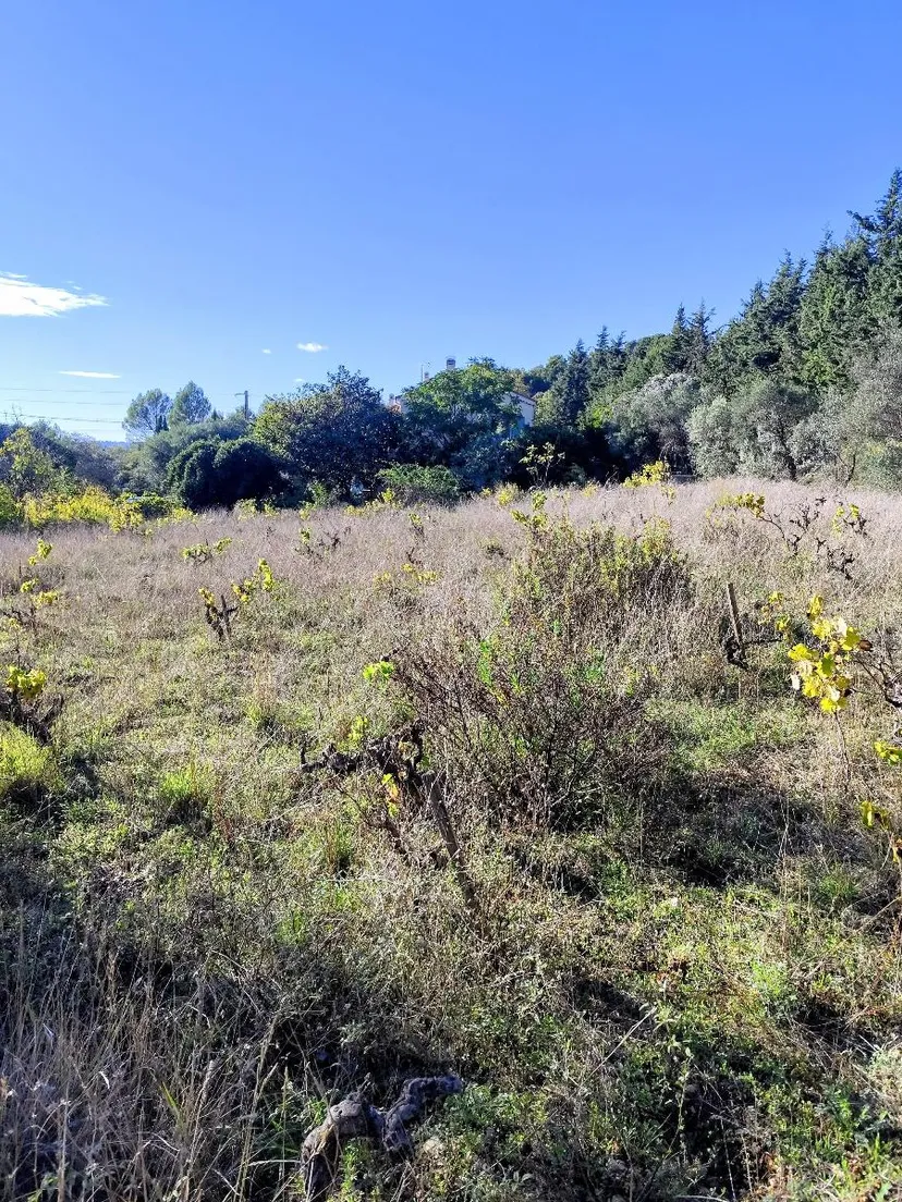 terrain à DRAGUIGNAN (83300) — photo 2