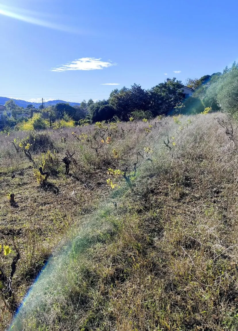 terrain à DRAGUIGNAN (83300) — photo 3